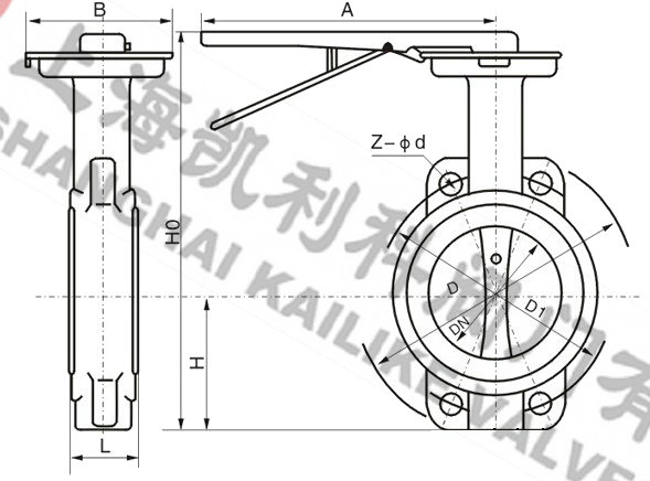 D71X對夾式蝶閥外形結構圖