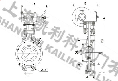 D373H彈性硬密封蝶閥外形結構圖
