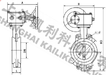 D371X蝸輪對夾式軟密封蝶閥外形結(jié)構(gòu)圖