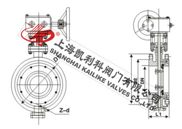 D343H美標(biāo)法蘭蝶閥外形結(jié)構(gòu)圖