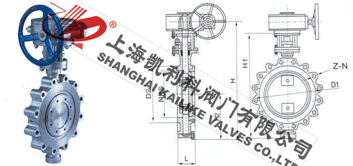 D373H美標(biāo)凸耳蝶閥外形結(jié)構(gòu)圖