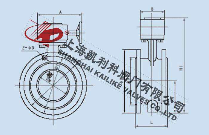 D342X單偏心法蘭式蝶閥外形結(jié)構(gòu)圖