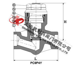 H61Y高壓自密封止回閥外形結(jié)構(gòu)圖