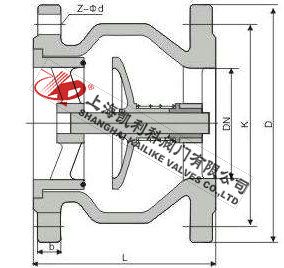 HC41X消聲式止回閥外形結(jié)構(gòu)圖