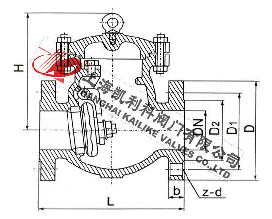 DH44Y低溫旋啟式止回閥外形結(jié)構(gòu)圖