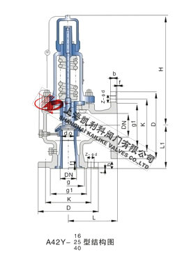 A42H、A42Y氧氣安全閥外形結(jié)構圖