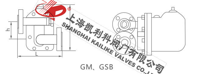 GSB6、GSB8杠桿浮球式疏水閥外形結構圖