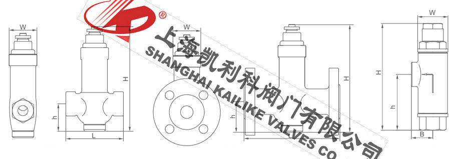 CS44H波紋管式疏水閥外形結(jié)構(gòu)圖