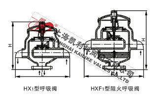 HX1帶接管呼吸閥、HXF1帶接管阻火呼吸閥外形結(jié)構(gòu)圖