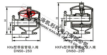 HX8帶接管吸入閥、HX8帶接管阻火吸入閥外形結(jié)構(gòu)圖