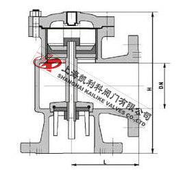 H142X水位控制閥外形結構圖